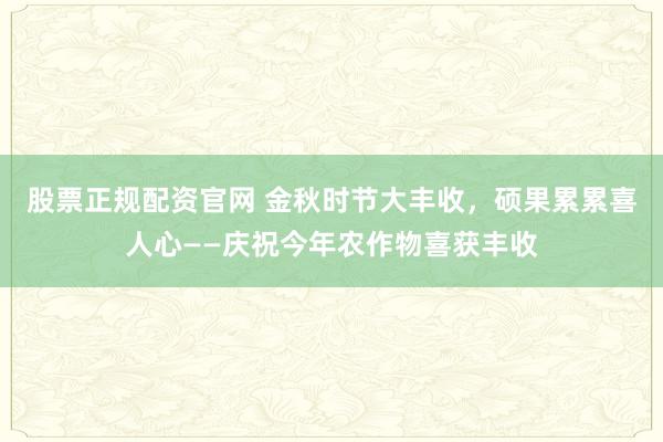 股票正规配资官网 金秋时节大丰收，硕果累累喜人心——庆祝今年农作物喜获丰收