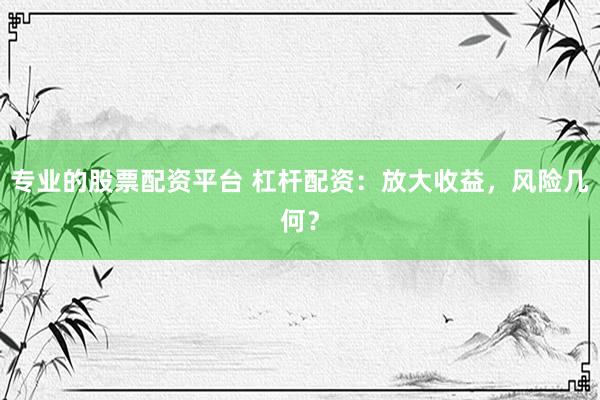 专业的股票配资平台 杠杆配资：放大收益，风险几何？