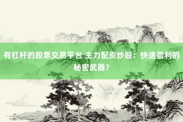 有杠杆的股票交易平台 主力配资炒股：快速盈利的秘密武器？