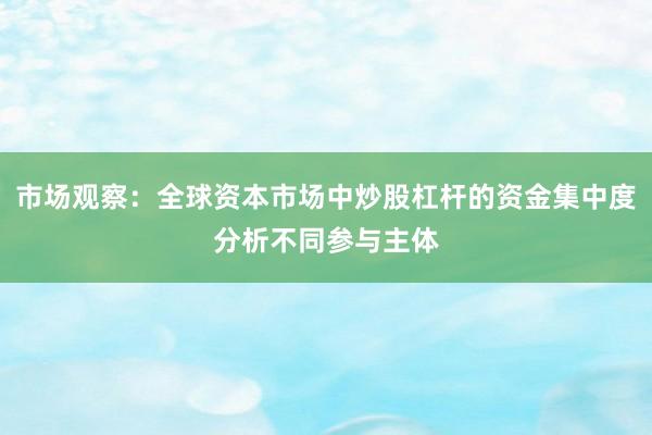 市场观察：全球资本市场中炒股杠杆的资金集中度分析不同参与主体
