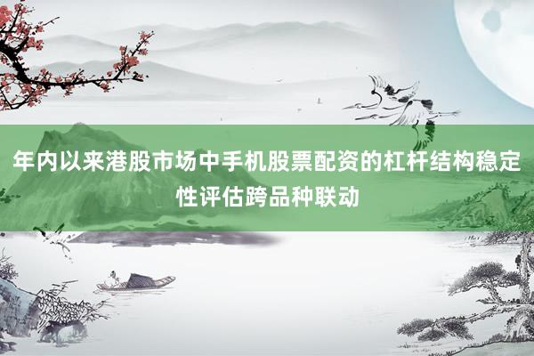 年内以来港股市场中手机股票配资的杠杆结构稳定性评估跨品种联动