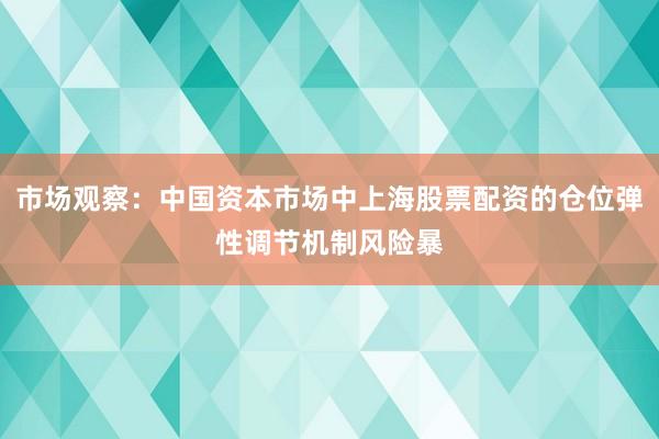 市场观察：中国资本市场中上海股票配资的仓位弹性调节机制风险暴