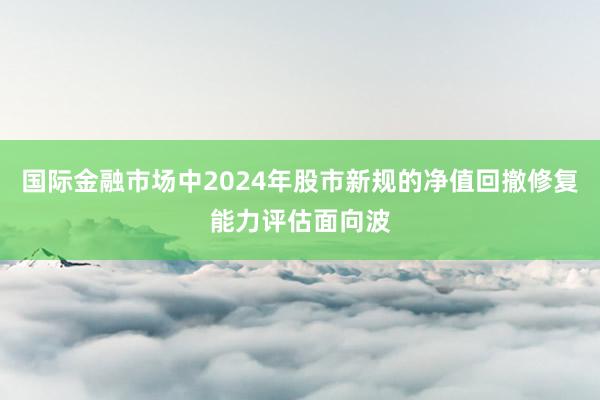 国际金融市场中2024年股市新规的净值回撤修复能力评估面向波
